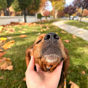 Meet your Posher, Thu